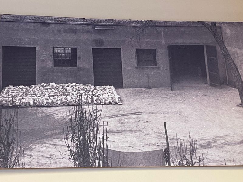 Black and white image of Italian hams outside factory