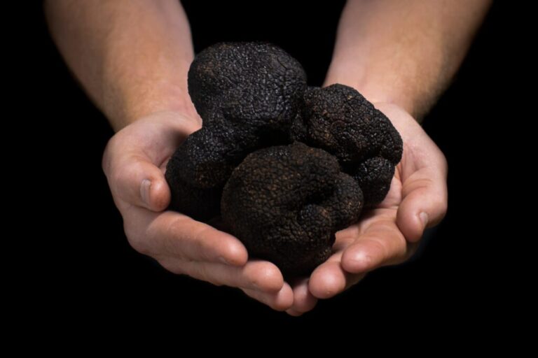 Australian Truffle