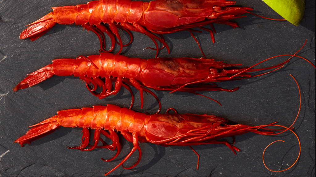 Carabineros from Spain
